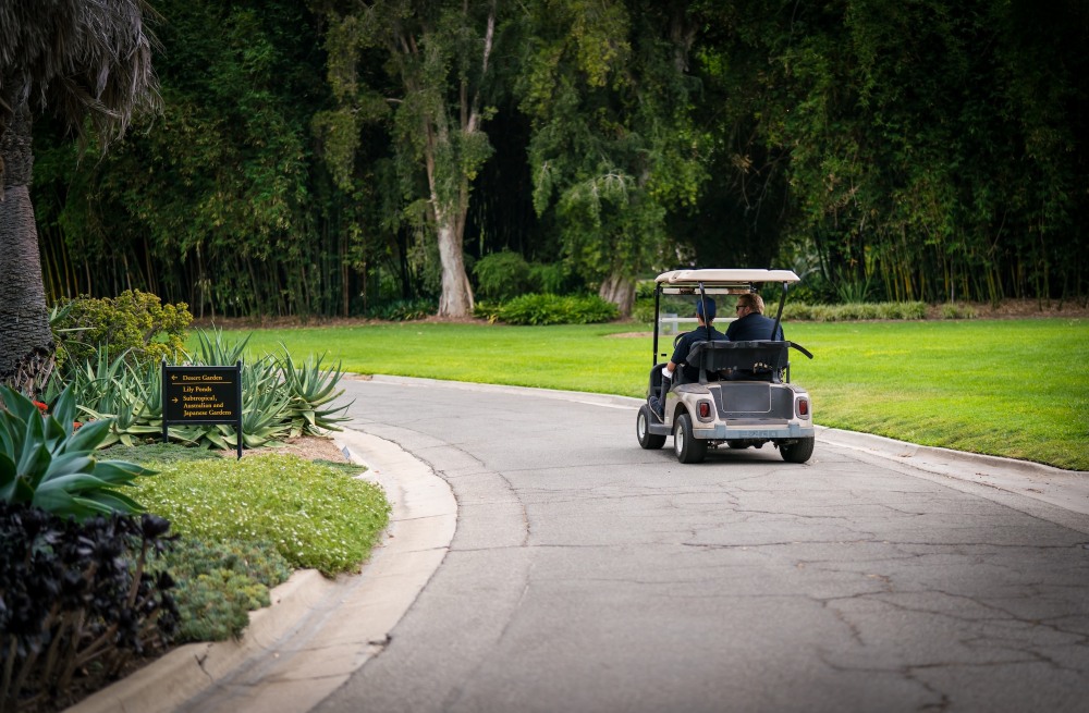 Man riding a golf cart