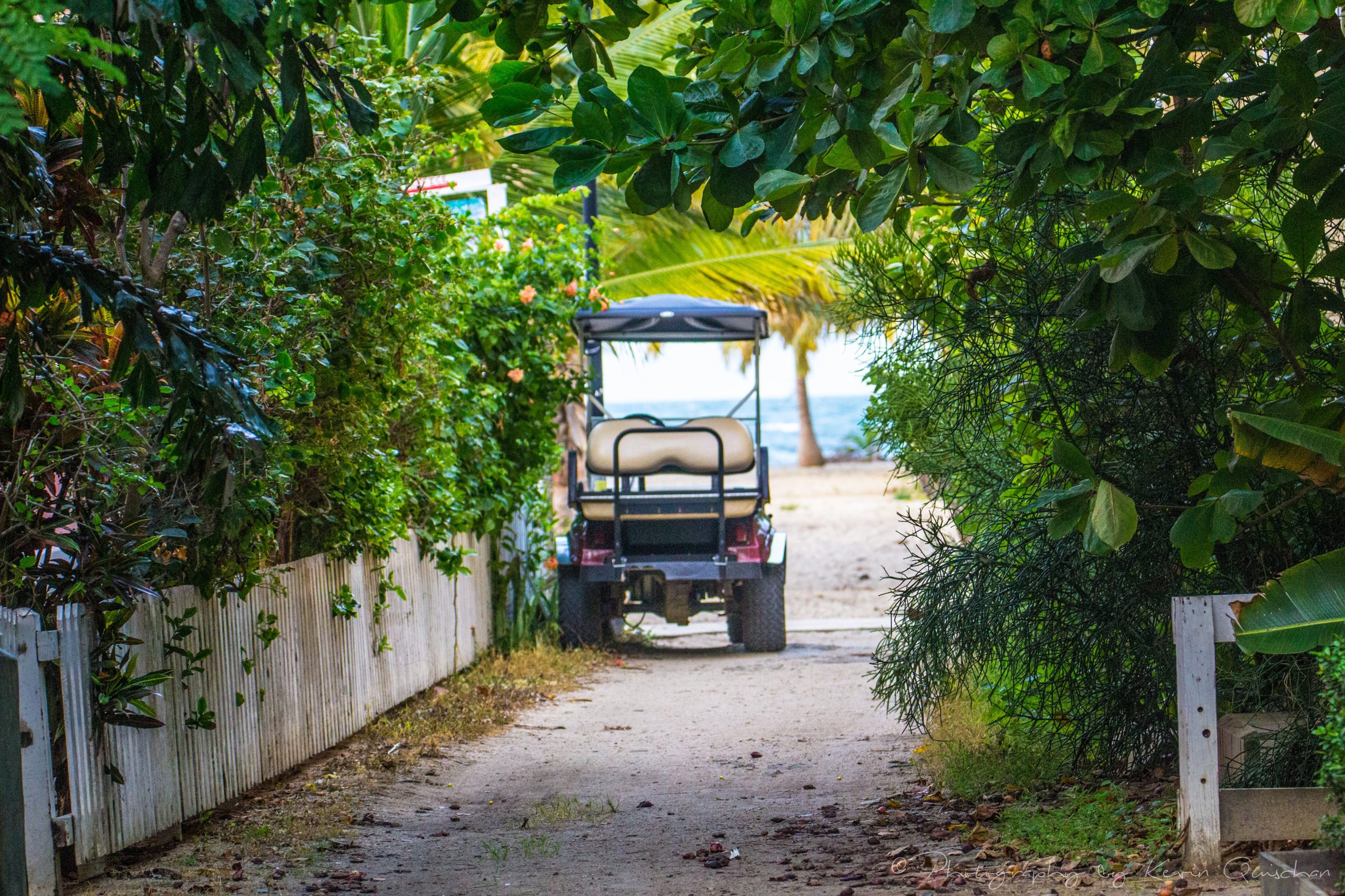 Placencia Belize Golf Cart