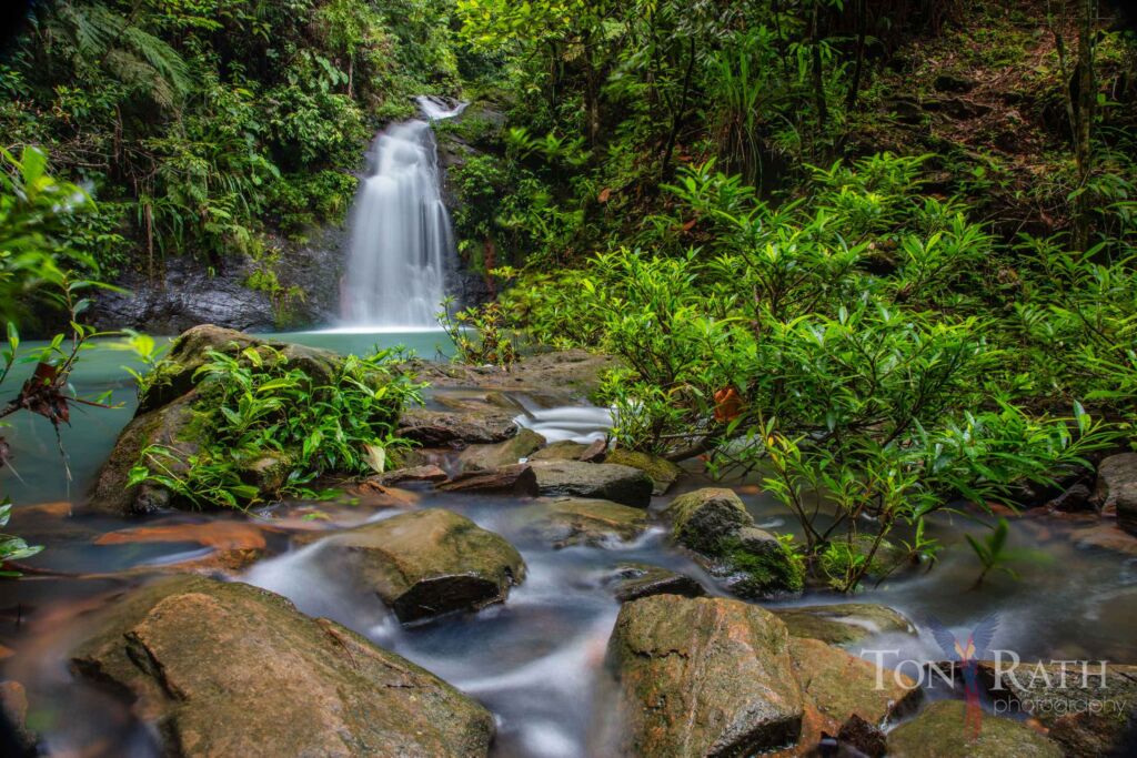 Captivating waterfall in Cockscomb Basin Wildlife Preserve, Belize