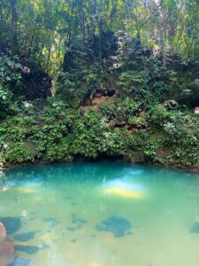 Inland Blue Hole Cenote - Crystal Clear Beauty