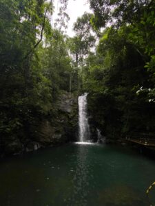 Front View of Maya World Waterfall