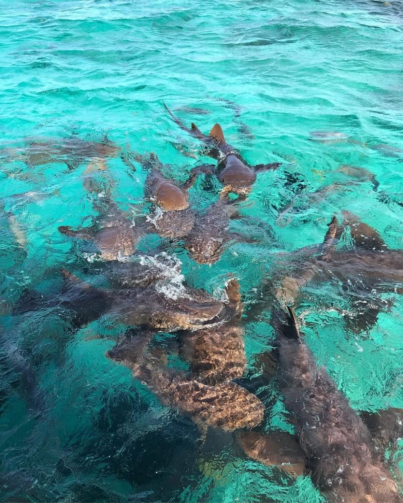 Belize destinations 2025