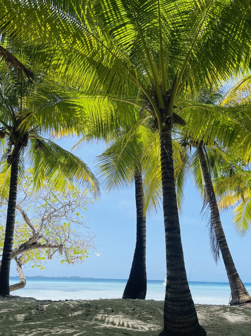 Belize Barrier Reef tours