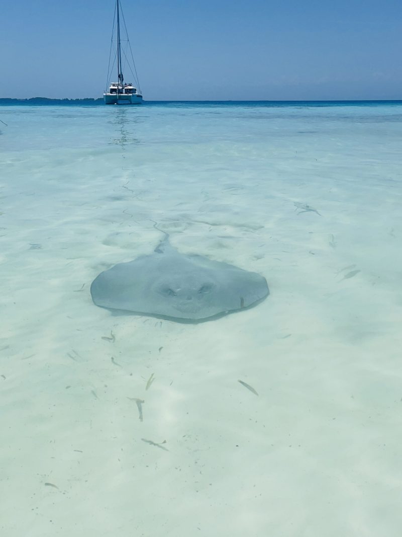 Belize mixed travel experiences