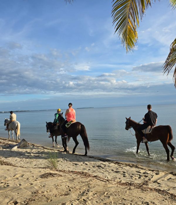 Placencia family activities Placencia family activities