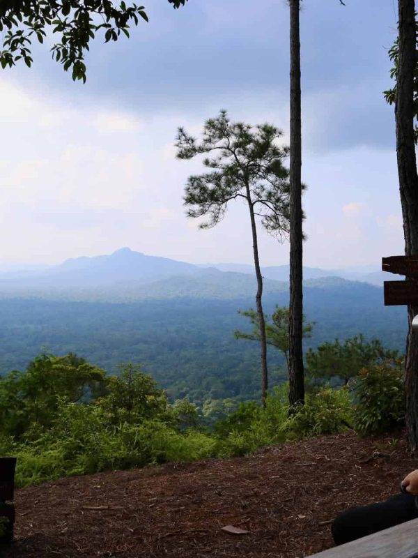 Jaguar preserve hiking