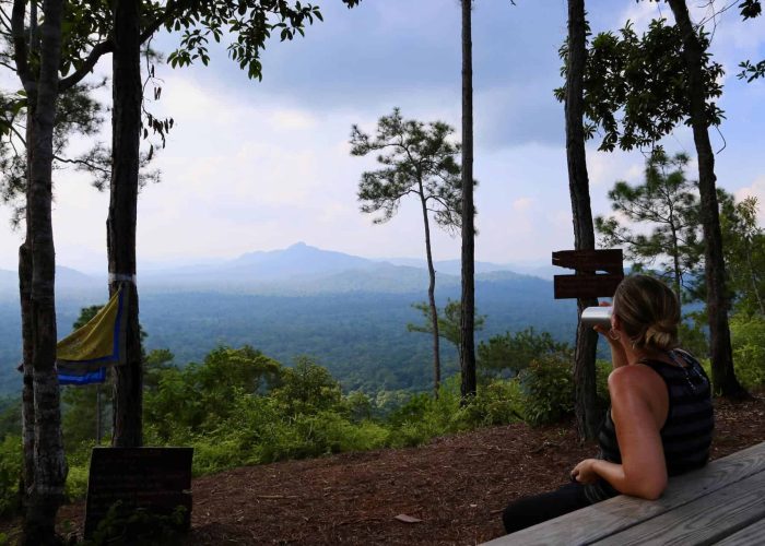 Jaguar preserve hiking