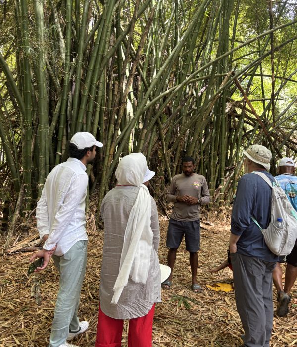 Meg monkey river IMG_2368