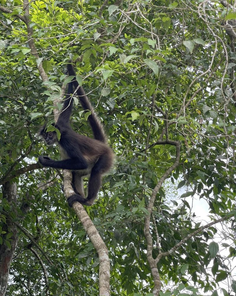 Belize adventure travel May