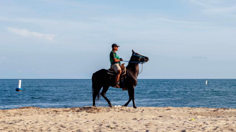 local Belize tour company