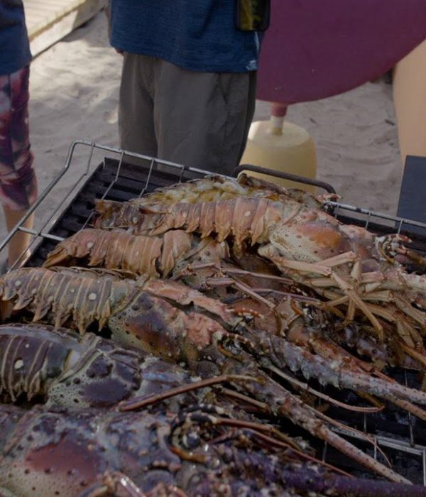 Belize Lobsterfest July 2026 Belize Lobsterfest July 2026