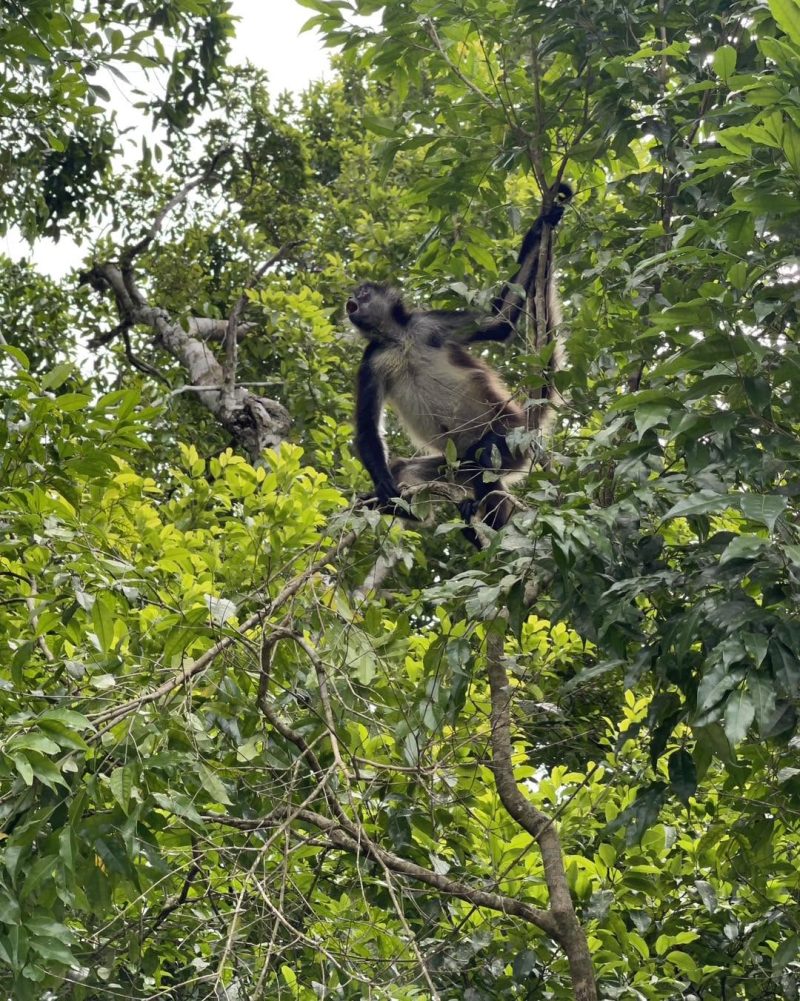 Belize Green Season travel