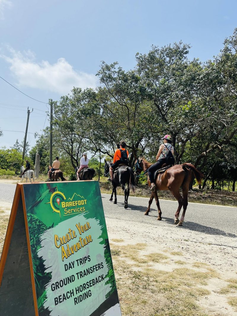 things to do in Belize in August